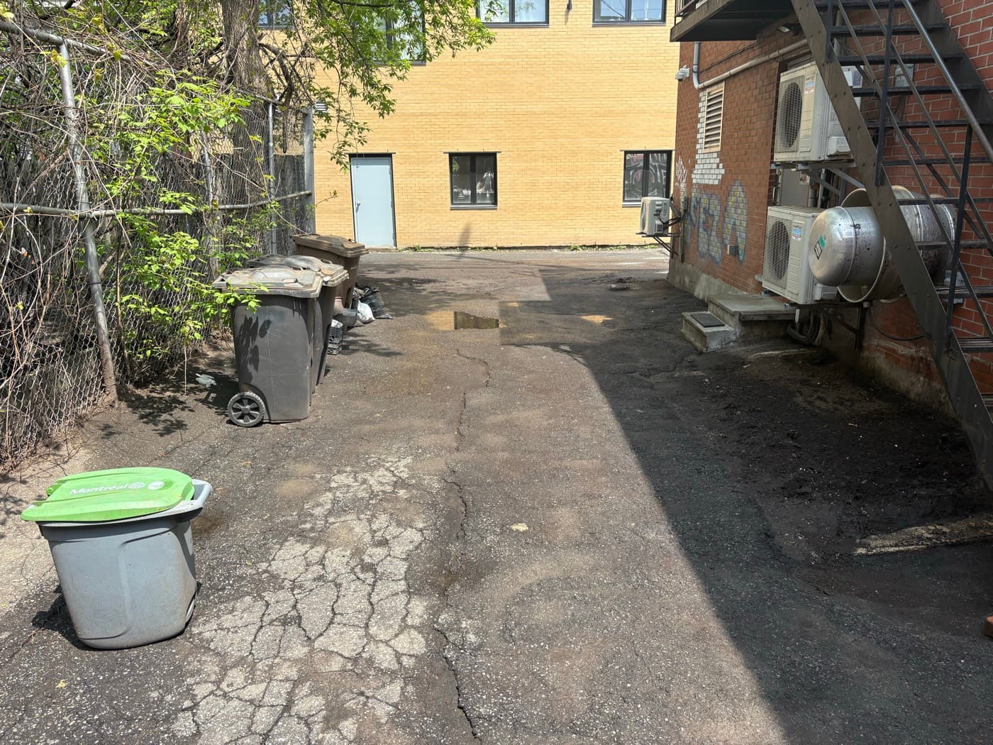Cour arrière désencombrée et lavée - APRÈS